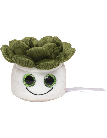 Schmoozies® Evergreenies® Sukkulente