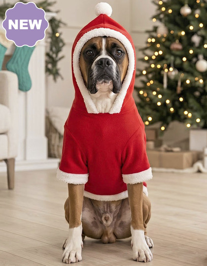 Dog Santa Hoodie