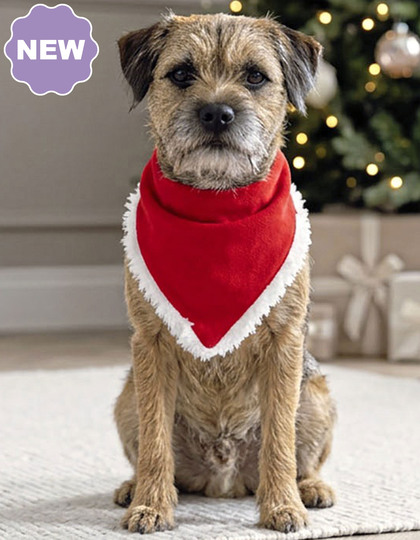 Dog Christmas Bandana