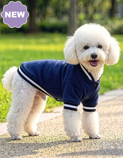 Varsity Jacket